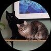 missyandstormy